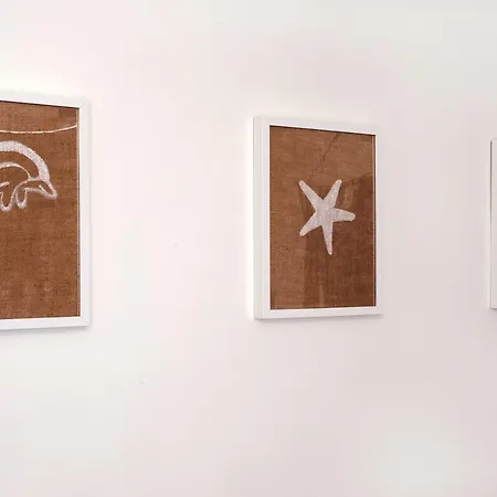 Mieszkanie Kava - Acco Rent *